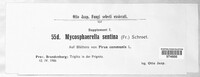 Mycosphaerella pyri image
